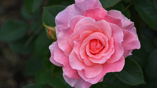 �1763357 �������(a): ����������:2560x1440